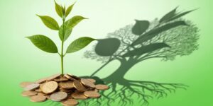 동전 더미에서 자라나며 상승 그래프 그림자를 만드는 새싹